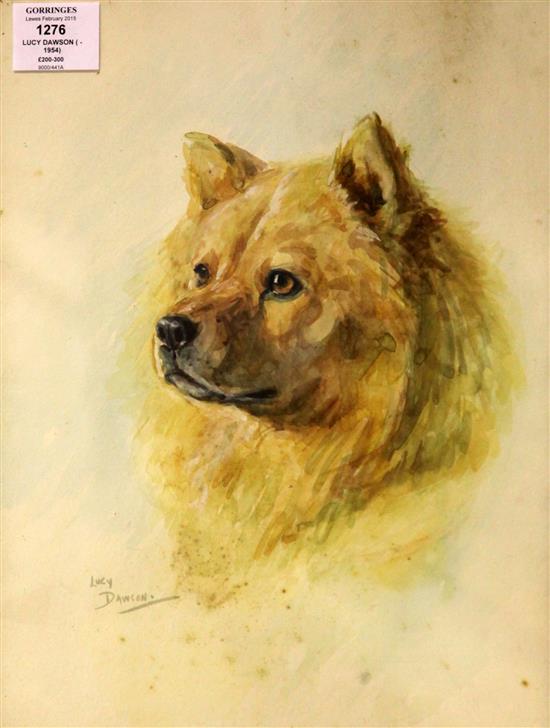 Lucy Dawson ( -1954) Portrait of a Chow, 14.5 x 10.25in.